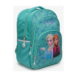 1. Frozen themed school backpack for girls with Elsa and Anna design 2. Teal princess cartoon school bag for kids age 4 to 10 years 3. Lightweight frozen backpack for preschool and kindergarten girls 4. Kids cartoon school backpack with front zipper pocket 5. Girls winter princess themed school bag with padded straps
